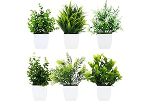 Royouzi 6 Piante Artificiali, Piccole Mini Piante Artificiali In Vaso, Vasi da Fiori Artificiali, Adatte per Arredare Uffici, Camere da Letto, Terrazze, Soggiorni e Bagni (Bianco)