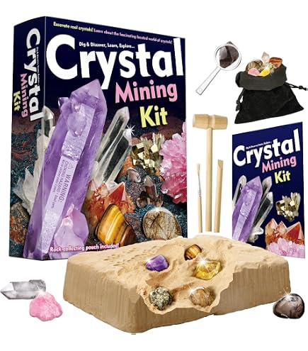 Pierres Précieuses Insectes Kit d'excavation, 7 Pierres Précieuse d'ambre, Pierres Précieuses Kit de Creuser avec Outil de Creusement, Experiences Scientifiques Enfant pour 6 Ans Cadeau Minéraux