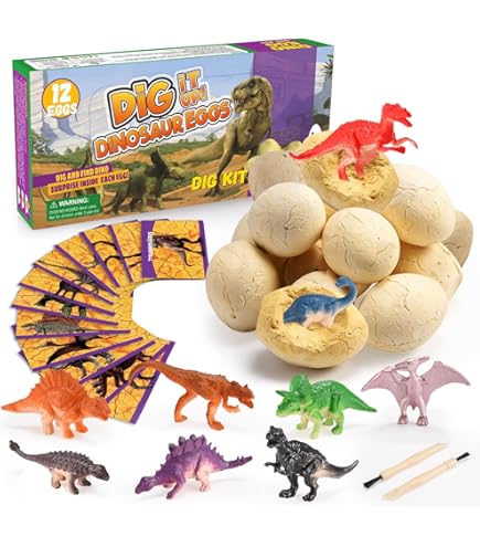 12 Pièces De Fossiles De Dinosaures Pour Enfants, Figurines