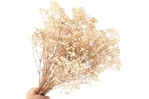 SONGJUM Los Bebés Respiran Ramos de Flores Secas 70g 2000+Natural Dried Flowers Baby's Breath La Verdadera Rama Gypsophila Jarrón Mesa Bodas Fiesta Jardín DIY Guirnaldas Flores Decoración del Hogar（Blanco）