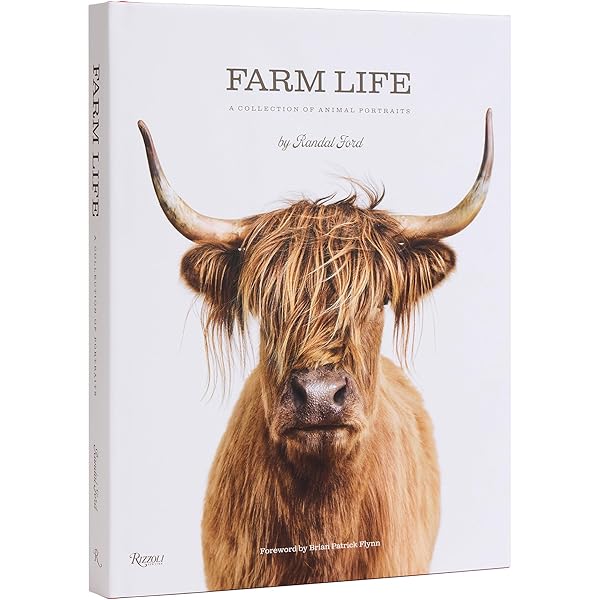 Buy The Cow: A Tribute Book Online at Low Prices in India | The