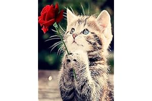 TAASMOOG 5D Diamant Malerei Kit, 30x40cm Full Drill Kristall Strass DIY Diamond Painting mit Diamond Painting Zubehör für Wand Dekoration und Geschenk