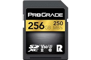 Carte SD UHS-II 256Go V60 - Vitesse d'écriture jusqu'à 130Mo/s et Vitesse de Lecture 250Mo/s | pour Les Professionnels, cinéastes, photographes et conservateurs de Contenu - par Prograde Digital