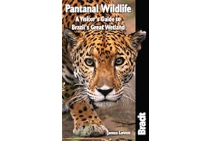 Pantanal Wildlife: A Visitor's Guide to Brazil's Great Wetland (Bradt Travel Guide) (Bradt Travel Guides (Wildlife Guides))