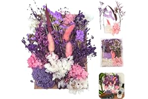 JiaaOne Natural Dried Flowers for Crafts, Premium Pressed Flowers with Cardboard Backing, Dry Flowers for Decoration, Craft Flowers Ideal for DIY, Resin Accessories, Wall Art, Gift Making (Purple)
