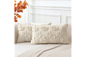 Artscope Höst kuddfodral set med 2 höst pumpa lönnlöv prydnadskudde överdrag för soffa bäddsoffa vardagsrum mjuk plysch kort