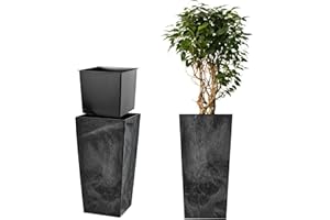 ‎KADAX KADAX Pflanzkübel mit Innentopf, Höhe 68cm, Beton schwarz – Wetterfester Blumentopf für Innen & Außen, ideal für Garten, Balkon & Terrasse, zum Bepflanzen, Dekorieren und als stilvoller Übertopf