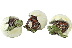 Design Toscano QM2562500 DREI Figuren Gerade aus dem Ei geschlüpfte Babyschildkröte, Resin, Mehrfarbig, 9 x 10 x 6.5 cm