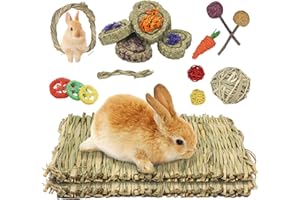 Episkey 2pcs Grass Mat for Rabbit, Bunny Chew Toy for teeth Natural wowen bed mat for Hamster Guinea Pigs Rat Chinchilla and gerbils,Boredom Breaker toys for Small Animals (Typ1)