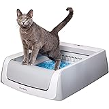 automatic cat litter tray