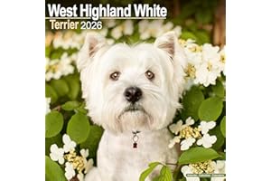 West Highland White Terrier Calendar 2026 Square Dog Breed Wall Calendar - 16 Month