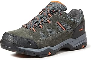 Hi-Tec Mężczyźni Banderra II Low WpNiskie buty trekkingowe