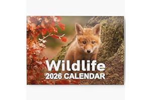 EVELAY 2026 British Wildlife Wall Calendar - UK Nature Photography, Foxes, Deer, Owls - Month to View Planner, A3 When Open - Premium 170gsm Silk Paper