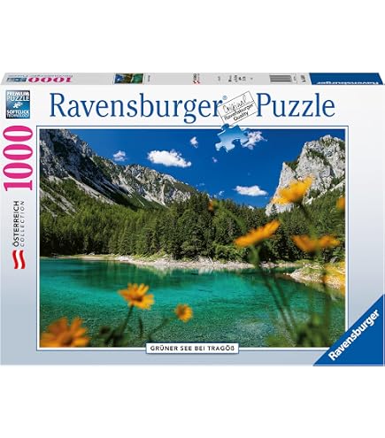 MSTU Puzzle classco 1000 pezz per adult e bambn puzzle