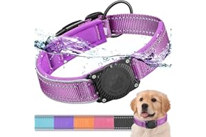Ytanest Collare per Cani Airtag Supporto 100% Impermeabile Apple Air Tag Integrato per Cani di Piccola Taglia e Grande, Viola, M