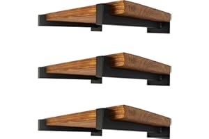 EZYDECOR 6 Pcs Floating Shelf Brackets 12 Inch Heavy Duty Wall Mounted Industrial Metal Shelving Supports with Lip