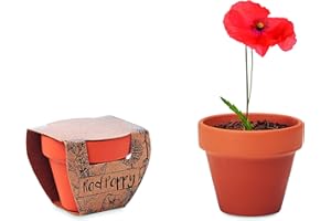 noTrash2003 Lot de 3 pots de culture pour fleurs, tournesols, myosotis, coquelicots en terre cuite, avec substrat de culture (coquelicot (rouge)