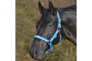 WALDHAUSEN Halfter Pferdchen