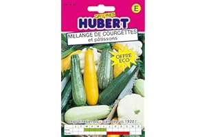 GRAINES HUBERT SEMENCES & ENGRAIS MAIROL Mélange de courgettes et patissons Format ECO - 12 grammes