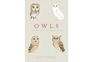 Owls: Our Most Enchanting Bird