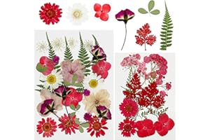 Cayway 40 szt. suszonych prasowanych kwiatów, czerwone prasowane kwiaty do żywicy, prawdziwa natura, tłoczone liście kwiatowe do majsterkowania, tworzenia biżuterii, artykuły do scrapbookingu, świec