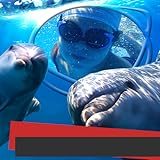 Verschönern Sie Ihr Bild mit fantastischen Fotoeffekten oder fügen Sie Fototext hinzu