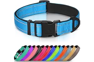 Joytale Collar Perro Reflectante,Nylon Collar Acolchado con Neopreno,Ajustable para Perros Grande,40-60cm,Azul