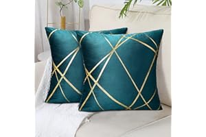 DECORMOMMT Grande Federe Cuscini 50x50 CM Velluto Blu Verde Copricuscini Decorativi Set di 2 Quadrati Federa Cuscino Divano Geometrica Federe per Soggiorno Camera Letto Auto Decorazione Estate