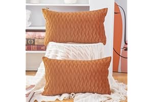 Madizz 2 Pezzi Federe in Velluto Copricuscini Morbido Decorativo Fodere per Cuscino Lusso Stile per Divano Camera da Letto Arancione Rettangolare 30x50 cm