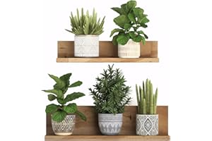 WUISOLQP Autocollant mural 3D amovible en PVC Bonsaï Décoration murale créative Plantes Vertes Florales Arbre BonsaïStickers Muraux Plante Tropical Autocollants Décoration Murale pour Salon Chambre Cuisine (D)