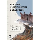Suların Y&uuml;kselmesini Beklerken