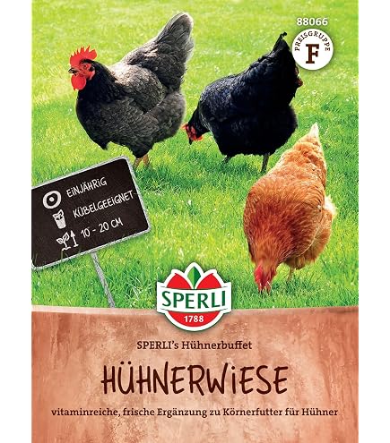 DSV Hhnerauslauf Org. 10 kg Grassamen Weidesamen Kleintiersaat Hhnerweide  : Amazon.de: Garten