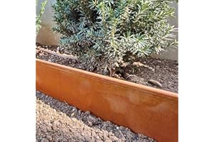 RoRi Bordure de pelouse en Acier Cortenstahl 10 m - Dessus Arrondi - 10 x 1 m - Pliage des Bordures de pelouse - Clôture pour vergers Marron - 10 cm de Hauteur