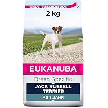 hund aufs sofa Hundebett Sofa