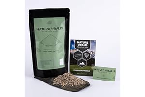 Natura Uralis Fiocchi di Argilla Verde Urale | 500g di Fiocchi di Argilla Verde Urale Naturale, da Pastello a Verde Rigoglioso - Croccantezza Straordinaria, Texture Terrosa, Setosa e Sodo, ASMR