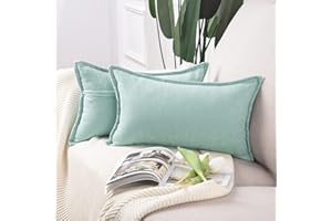 Madizz 2 Pezzi Federe Corto Ciniglia Copricuscini Morbido Decorativo Fodere per Cuscino Lusso Stile per Divano Camera da Letto Verde acqua Rettangolare 30x50 cm