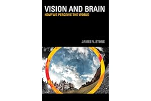 Vision and Brain: How We Perceive the World