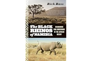 The Black Rhinos of Namibia: Searching for Survivors in the African Desert