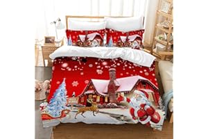 JEFFEL Set di biancheria da letto natalizia con motivo di Babbo Natale, ad alta definizione, 3 pezzi, regalo di Natale per bambini e adolescenti (Natale C, 220 x 240 cm)