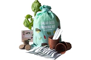 Scott&Co. Salad Seed Kit, 10 Different Vegetable Seed Varieties to Grow Your Own, Tomato, Lettuce, Cucumber. Veg Seeds, Pots, Labels and Compost. Christmas Gifts for Women and Men