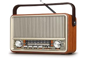PRUNUS J-120 Bärbar Radio Retro, SW AM FM Radio Med Bluetooth Högtalare, Drivs Av 1800mAh Uppladdningsbart Batteri Eller Näta