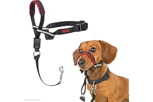 COMPANY OF ANIMALS Collar Ronzal Optifit HALTI - Para evitar que tu perro tire de la correa, Ajustable y Ligero, con banda de nariz acolchada. Adiestramiento canino antitirones collar para perros pequeños (Talla S)