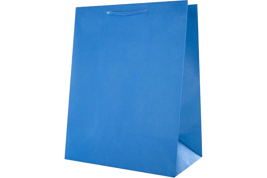 Hallmark Multi-Occasion Large Gift Bag - Plain Blue