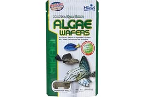 Hikari Algae Wafers [Sng] 82G