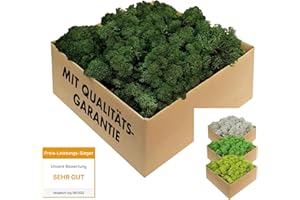 GJS Islandmoos - konserviertes Moos zum Basteln, Deko & DIY für künstliche Bilder, Pflanzen-Wand, Kunst, Modellbau sowie Oster- (Gras, Nest) & Weihnachtsdeko (Krippe, Adventskranz) (dunkelgrün, 1 kg)