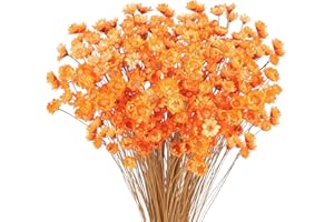 LARBER 300 Pezzi Steli Di Fiori Secchi Margherita Essiccato Brasiliano Arancione Mini Bouquet Naturali Per Decorare Oggetti Di Scena