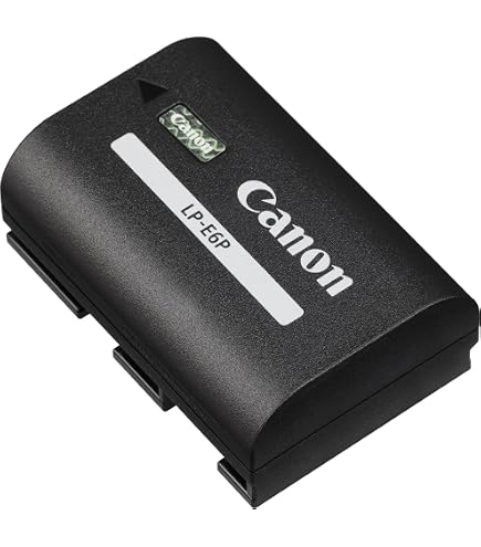 Canon lens extender EF 2X III : Amazon.nl: Elektronica