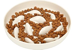 PETTOM Miska dla kota z powolnym podajnikiem, podwyższona krawędź, odporna na rozlanie, powolne jedzenie, miska dla kota, do mokrej karmy / suchej karmy, powolny podajnik, przeciw wymiotom, karmnik