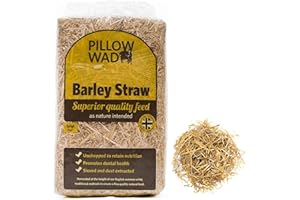 STAR SUPPLIES Unchopped Soft Barley Straw Bedding For Animals Retains Nutrition Ideal For Chickens, Rabbits & Tortoise (2KG (1 Bag))