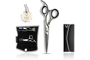 Vida Goods Professional Hairdressing Scissors, Premium J2 Stainless Steel Hair Scissors, 6.5" Barber Scissors with Hand-Sharpened Blades, Adjustable Tension Knob & Key, Case & Cleaning Kit (Polished)